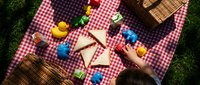 Overhead view of picnic setup with checkered blanket, sandwiches, fresh vegetables, and colorful drinks on grass for outdoor dining and leisure activities.