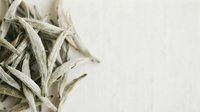 Dried sage leaves scattered on white background, isolated herb for culinary and wellness design projects.