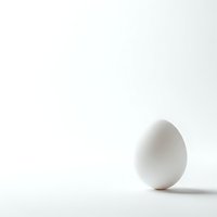 Single white chicken egg on clean white background with soft shadow, minimalist composition for cooking and food design projects.