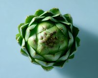 Fresh green artichoke head viewed from above on light blue background, showing layered leaves pattern and natural texture. Organic vegetable for cooking.
