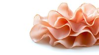 Delicate coral-pink ruffled fabric layers creating soft waves and folds on white background, isolated design element for fashion and textile projects.
