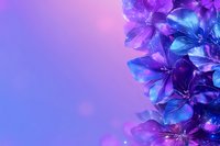 Vibrant purple and blue flowers with glowing bokeh effects against gradient background create magical floral composition for romantic and fantasy designs.