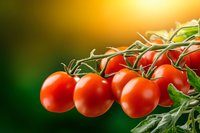 Fresh ripe cherry tomatoes on green vine against blurred golden and green background, showcasing natural organic produce for food and cooking concepts.