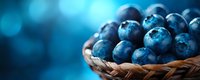 Fresh ripe blueberries in woven basket against blue bokeh background, macro view of organic berries with selective focus and copy space.
