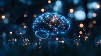 Glowing blue brain hologram floating over dark grass with bokeh lights creates futuristic atmosphere for concepts of artificial intelligence and neuroscience.