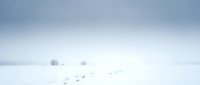 Minimalist winter landscape with snow-covered field and distant bare trees under overcast sky, suitable for backgrounds and seasonal design projects.