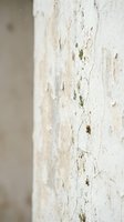 Weathered white painted surface with peeling paint, cracks, and moss growth, suitable for grunge textures, backgrounds, and architectural design projects.