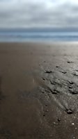 Footprints trail across wet sand beach with blurred ocean and cloudy sky in background, capturing solitude and coastal serenity for travel and nature designs.