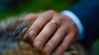 Close-up of groom's hand with wedding ring gently resting on soft fur, creating intimate and tender moment against blurred natural background.