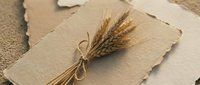 Rustic wheat bundle tied with twine on vintage paper cards creating natural organic decoration for wedding invitations and craft projects.