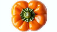 Fresh ripe orange pumpkin with distinctive ribbed shape and green stem viewed from above on white background, isolated produce for seasonal cooking and design.