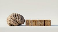 Human brain model beside wooden blocks spelling PTSD on light background, symbolizing post-traumatic stress disorder awareness and mental health.