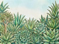 Watercolor succulent garden with aloe, echeveria, and agave plants on soft blue background, botanical art for prints, cards, and decor.