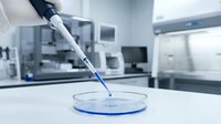 Laboratory pipette dispensing blue liquid into petri dish in sterile research facility for scientific experiments and medical testing procedures.