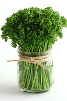 Fresh parsley bunch in glass jar with twine bow on white background, vibrant green herbs ready for cooking and garnishing food preparation.