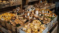 Fresh organic mushrooms of different varieties displayed in wooden crates at farmers market, including portobello, shiitake and button mushrooms in rustic setting.