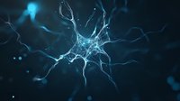 Glowing neuron cell with synaptic connections on dark background, blue bioluminescent neural network visualization showing dendrites and axons in microscopic detail.