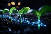 Young green seedlings growing in soil with glowing digital network connections, representing agricultural technology and smart farming innovation.