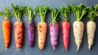 Fresh colorful heirloom carrots with green tops arranged in row on dark background. Rainbow variety of organic root vegetables showing natural diversity.