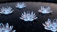 Crystal lotus flowers floating on dark water surface with sparkling reflections creating zen meditation atmosphere for wellness and spiritual design.