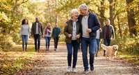 Happy senior couple walking together in autumn park with family and dog in background enjoying outdoor leisure time and healthy active lifestyle.