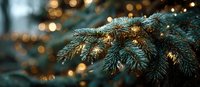 Festive pine branches with warm golden bokeh lights creating magical holiday atmosphere for Christmas and winter celebrations.