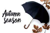 Black umbrella with wooden handle and dried brown maple leaves on white background with autumn season lettering, minimalist fall composition.