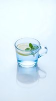 Clear glass mug filled with refreshing water, lemon slices, and fresh mint leaves on white background. Ideal for beverage, wellness, and healthy lifestyle designs.