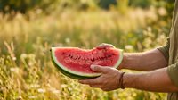 Man holding fresh cut watermelon slice outdoors in summer garden with blurred green foliage background, ready for harvest and seasonal eating.