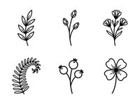 Minimalist line art botanical elements featuring six isolated hand-drawn plants and flowers in black ink style, ready for design projects, logos, and decorative applications.
