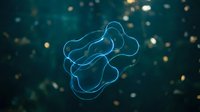 Glowing neon blue bacteria or microorganism floating against dark teal background with golden particles, suitable for medical, scientific, and educational presentations.
