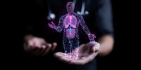 Digital hologram of human anatomy with glowing lungs floating above open hands, showcasing medical technology advancement in healthcare visualization and diagnostics.