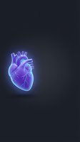 Glowing neon anatomical heart with blue purple gradient on dark background for medical education and healthcare design projects.