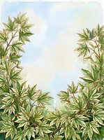 Watercolor botanical frame with variegated foliage borders on light background, ideal for invitations, greeting cards, and design layouts with copy space.