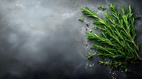 Fresh rosemary herbs with sea salt on dark stone background for culinary cooking and seasoning applications.