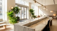 Modern minimalist kitchen with marble island, pendant lights, and lush green plants creating bright airy atmosphere for contemporary home design.