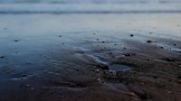 Wet sand beach surface with shallow water pools and scattered pebbles at low tide, suitable for coastal backgrounds and nature designs.