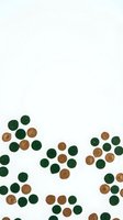 Scattered green and brown round buttons on white background for crafting and sewing projects isolated for design use.