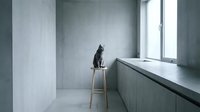 Gray tabby cat sitting on wooden stool by window in minimalist concrete interior space, looking away pensively.