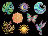 Colorful nature elements collection featuring monstera leaf, celestial sun, decorative wave, mandala flower, butterfly, botanical branch, and hummingbird isolated on transparent background for t-shirt design, clipart, stickers, and print-on-demand projects.