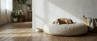 Relaxed brown dog sleeping on a round beige pet bed in a bright minimalist living room with wooden floor and white walls.