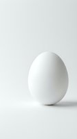Isolated white egg on neutral background, ready for design use on packaging, culinary projects, wellness content, and educational materials.