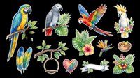 Tropical parrot and bird clipart collection isolated on transparent background. Features colorful macaws, cockatoos, feathers, and botanical elements ready for t-shirts, stickers, sublimation, and print-on-demand designs.