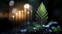 Green leaf illuminated by magical glowing lights in dark forest setting with bokeh effect and mystical atmosphere, nature photography for spiritual concepts.