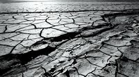 Cracked and parched earth with deep fissures in black and white, depicting severe drought conditions and environmental degradation for climate change awareness projects.