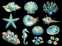 Watercolor ocean clipart set with shells, starfish, seahorse, coral, and sea urchin in teal tones, isolated on transparent background, ready for stickers and print on demand.