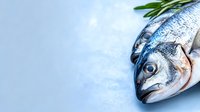 Fresh raw sea bass fish with rosemary herbs on blue background, close up view of seafood ingredients for healthy Mediterranean cooking.