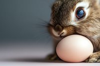 Close-up of curious brown rabbit sniffing white egg against blurred background. Macro photography highlights bunny's bright blue eye and whiskers in soft natural light.