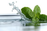 Fresh mint leaves with water splash and droplets on light background, close-up view showing dynamic liquid motion and herb freshness for beverage concepts.