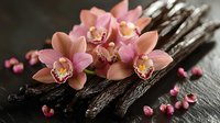 Pink cymbidium orchids on dark wooden surface with scattered rose petals creating romantic spa atmosphere. Wellness and relaxation concept.